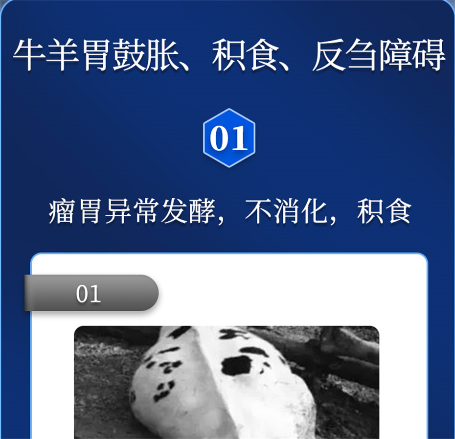 ���ӹ�����ҳ����ţ���������Ӽ�θ��plus��Ʒ����