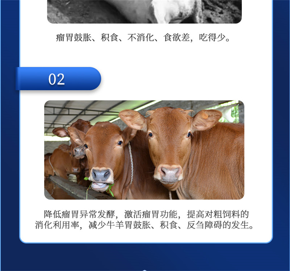 ���ӹ�����ҳ����ţ���������Ӽ�θ��plus��Ʒ����