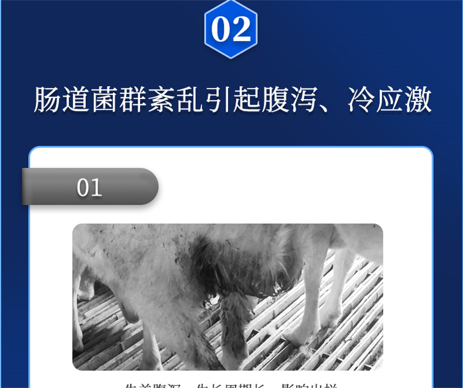 ���ӹ�����ҳ����ţ���������Ӽ�θ��plus��Ʒ����