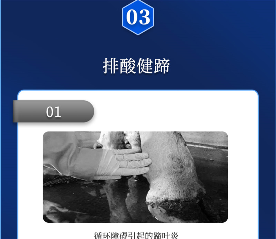 ���ӹ�����ҳ����ţ���������Ӽ�θ��plus��Ʒ����