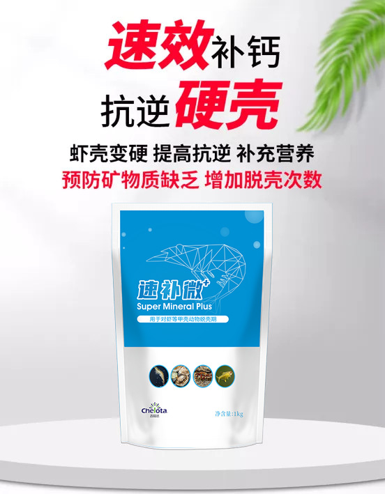 ���ӹ�����ҳ�ٲ�΢+