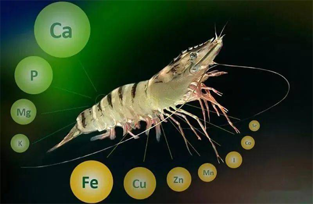 ��Ϻ�������Ӫ������Ҫ��