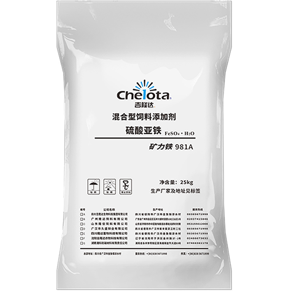 ��������-���ӹ�����ҳ