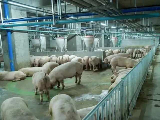 2022��12��ũ����ҵ��̬