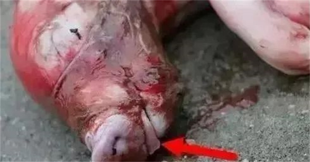 �ж�ĸ���Ƿ�����3������ĸ���ӹ���λ