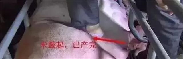 �ж�ĸ���Ƿ�����3������ĸ���ӹ���λ