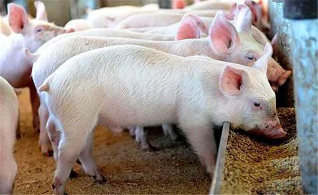 �������Ӽ�