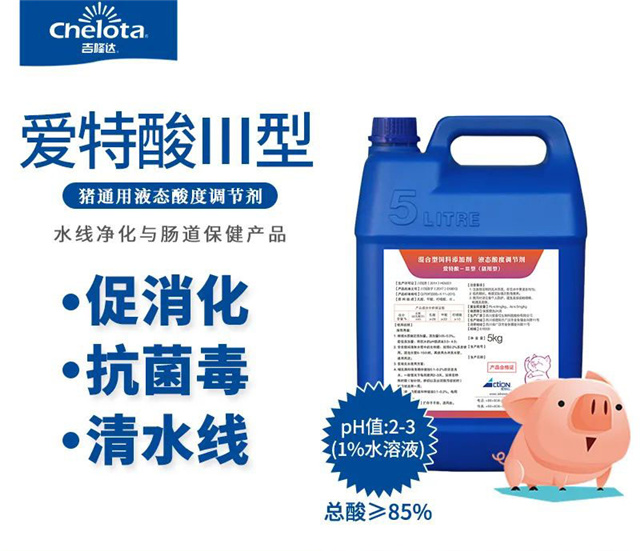 �������Ӽ�