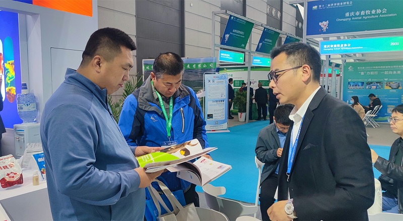 ����������ӹ�����ҳ����չ̨