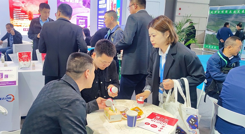 ����������ӹ�����ҳ����չ̨