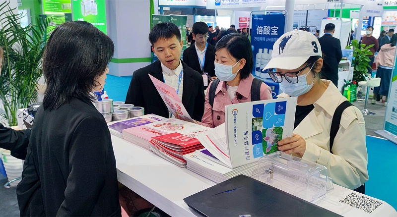 ����������ӹ�����ҳ����չ̨