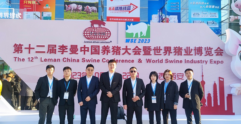 ����������ӹ�����ҳ����չ̨