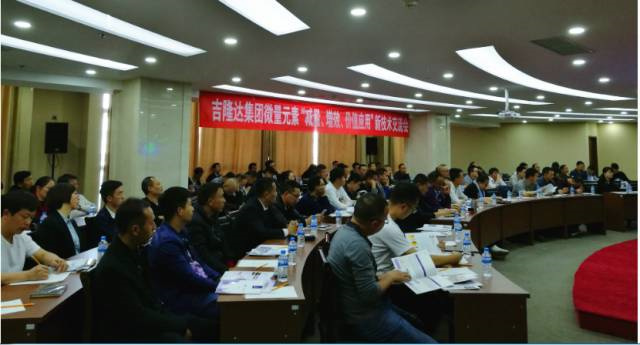 ���ӹ�����ҳ����΢��Ԫ�ؼ�����Ч������ֳ�