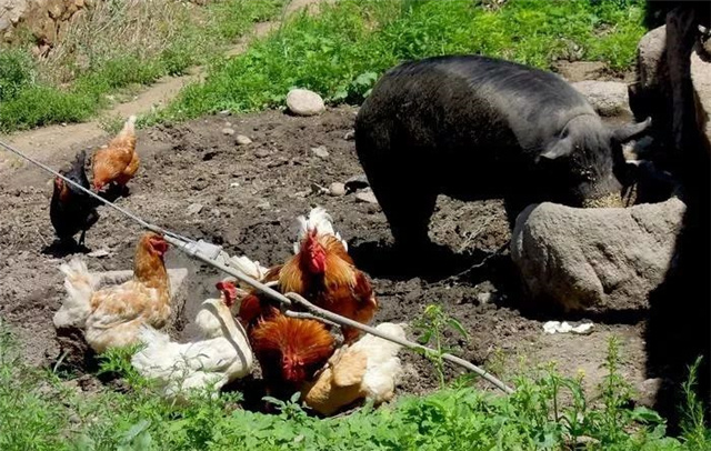 �������Ӽ�