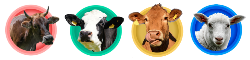 ���ӹ�����ҳ��ۻ�����������Ӽ�