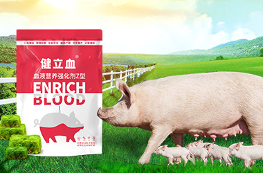 ���ӹ�����ҳ�������ӹ�����