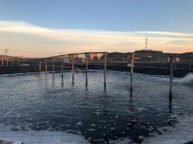 ��Ϻ����Ϻ��Ԥ��